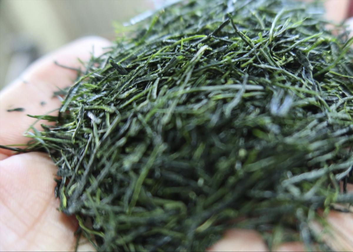 【数量限定】農林水産大臣賞受賞者　下岡清富×谷勝谷健士×谷口悟司　コラボ宇治茶〈限定 お茶 茶 煎茶 緑茶 茶葉 玉露 かぶせ茶 コラボ 詰合せ 最高茶師 大臣賞 飲料 加工食品〉 