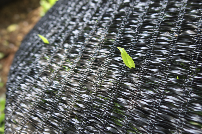 【数量限定】農林水産大臣賞受賞者　下岡清富×谷勝谷健士×谷口悟司　コラボ宇治茶〈限定 お茶 茶 煎茶 緑茶 茶葉 玉露 かぶせ茶 コラボ 詰合せ 最高茶師 大臣賞 飲料 加工食品〉 