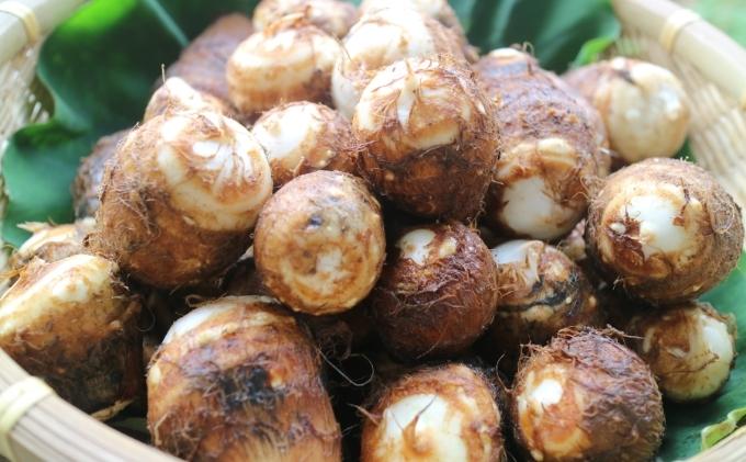 里芋 冷凍 小分け 絹里芋 220g 6パック 兵庫県産 野菜 根菜 粘り 一口サイズ 皮むき おつまみ 時短 おでん 煮物 おせち 味噌汁 冷凍野菜 栽培期間中農薬不使用 冷凍配送 取り寄せ 国産 さといも 個包装 