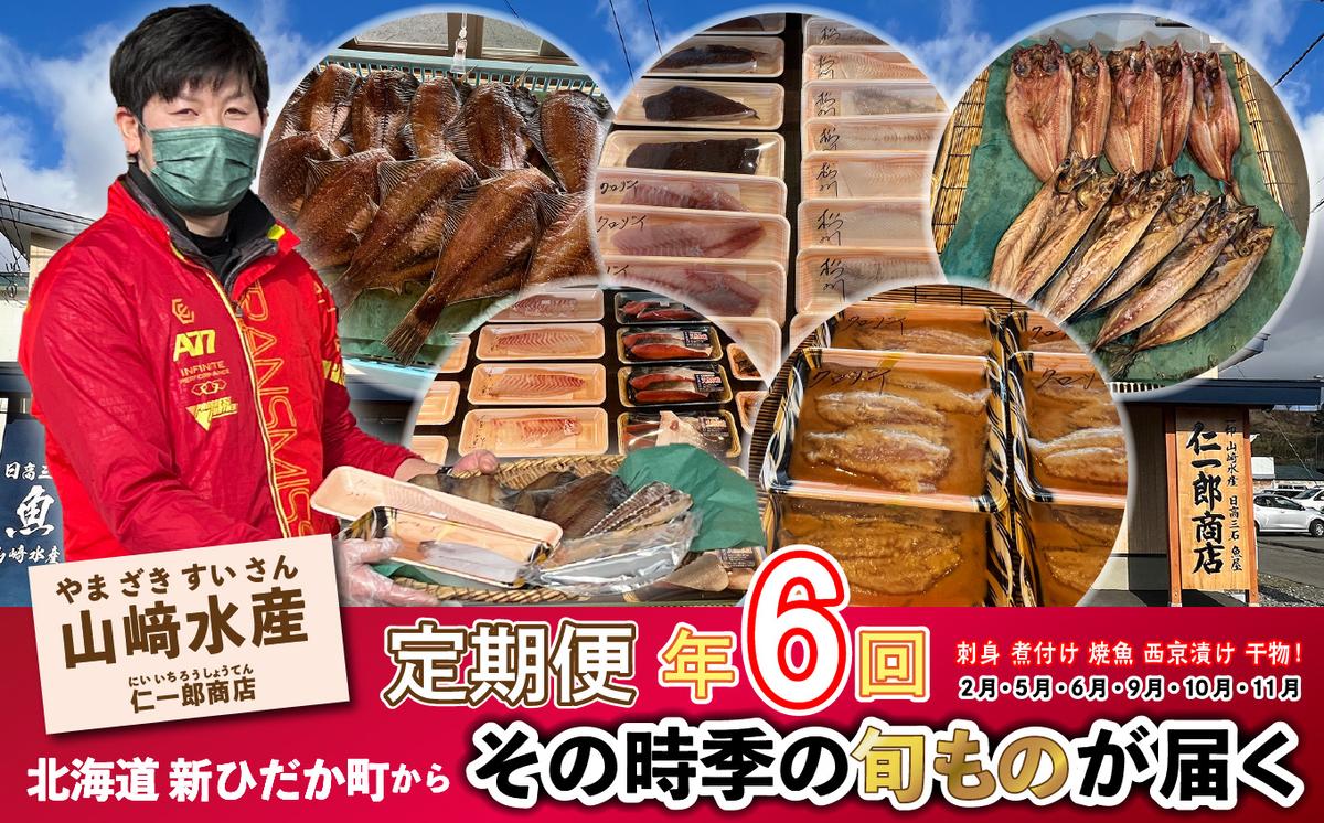 ＜定期便6回＞北海道産 旬の魚介4～5種 