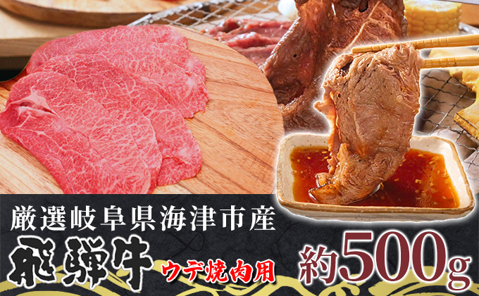 【飛騨牛】海津市産ウデ焼肉オリジナルカット 【配達不可：離島】 お肉 牛肉 焼肉用 バーベキュー ブランド牛 国産 岐阜県産 肩 赤身 サシ 霜降り 濃厚 旨味 脂身が少ない ダイエット おうち焼肉 
