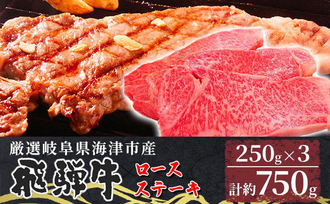 【飛騨牛】海津市産ロースステーキ250g×3 【配達不可：離島】 お肉 牛肉 ステーキ用 国産 岐阜県産 ブランド牛 夕飯 記念日 ディナー 柔らかい サシ 霜降り ボリューミー とろける 旨味 
