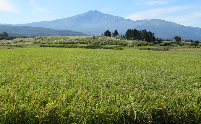新米 米 お米 《定期便》2kg×7ヶ月 鳥海山の恵み！秋田県産 あきたこまち ひの米（玄米）計14kg（2kg×7回連続）