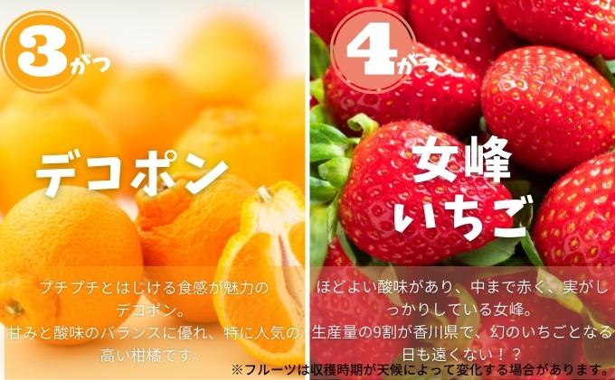 香川県土庄町のふるさと納税 【 小豆島 】土庄町 ふるさと果実 12回 定期便 フルーツ 果物 季節 旬 キウイ キウイフルーツ デコポン 柑橘 いちご 苺 イチゴ 甘夏柑 びわ みかん 蜜柑 シャイン マスカット ぶどう 葡萄 くだもの 国産 香川 香川県 土庄 土庄町