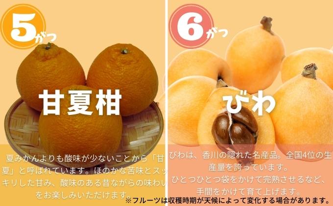香川県土庄町のふるさと納税 【 小豆島 】土庄町 ふるさと果実 12回 定期便 フルーツ 果物 季節 旬 キウイ キウイフルーツ デコポン 柑橘 いちご 苺 イチゴ 甘夏柑 びわ みかん 蜜柑 シャイン マスカット ぶどう 葡萄 くだもの 国産 香川 香川県 土庄 土庄町