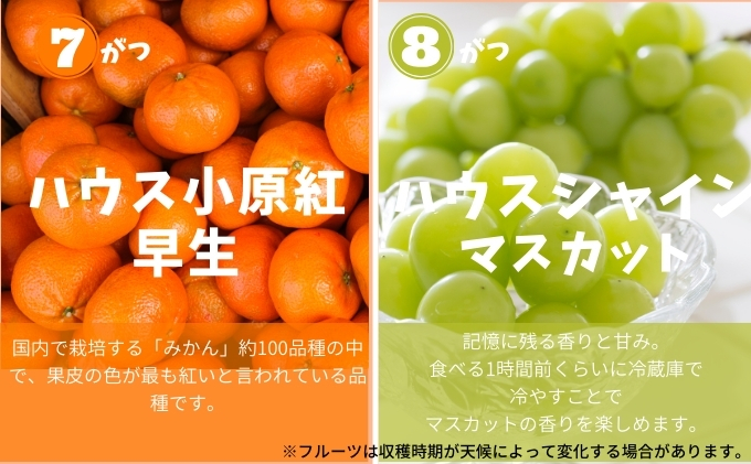香川県土庄町のふるさと納税 【 小豆島 】土庄町 ふるさと果実 12回 定期便 フルーツ 果物 季節 旬 キウイ キウイフルーツ デコポン 柑橘 いちご 苺 イチゴ 甘夏柑 びわ みかん 蜜柑 シャイン マスカット ぶどう 葡萄 くだもの 国産 香川 香川県 土庄 土庄町