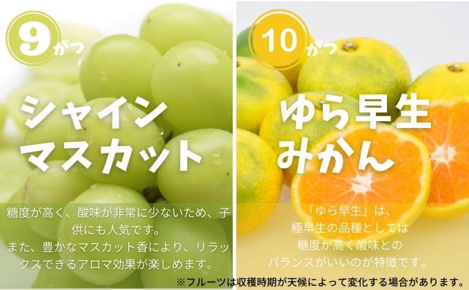 香川県土庄町のふるさと納税 【 小豆島 】土庄町 ふるさと果実 12回 定期便 フルーツ 果物 季節 旬 キウイ キウイフルーツ デコポン 柑橘 いちご 苺 イチゴ 甘夏柑 びわ みかん 蜜柑 シャイン マスカット ぶどう 葡萄 くだもの 国産 香川 香川県 土庄 土庄町
