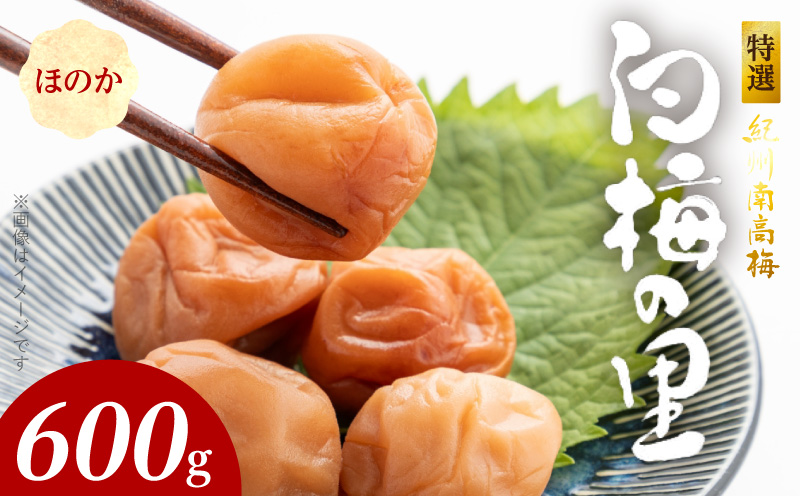 �y�a�̎R���L�c�S���󒬁zSF2005_���I�I�B�썂�~�u���~�̗��v�ق̂��@600��