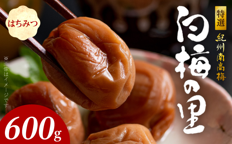 �y�a�̎R���L�c�S���󒬁zSF2007_���I�I�B�썂�~�u���~�̗��v�͂��݂@600��