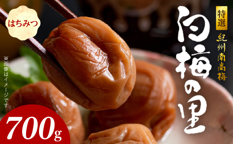 SF1007_特選紀州南高梅「白梅の里」はちみつ　700ｇ