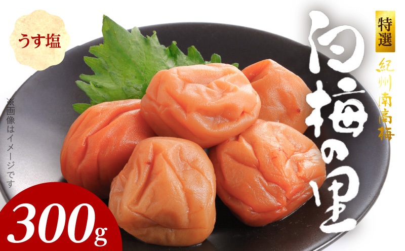 SF1012_特選紀州南高梅「白梅の里」うす塩味　300ｇ