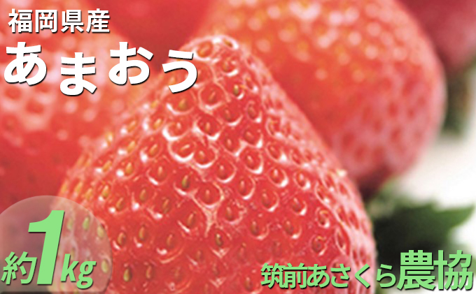 【福岡県朝倉市】いちご あまおう 福岡県産 約1kg 250g×4パック 筑前あさくら農協 配送不可 離島 果物類 苺 イチゴ 配送期間:2026年1月下旬〜3月上旬