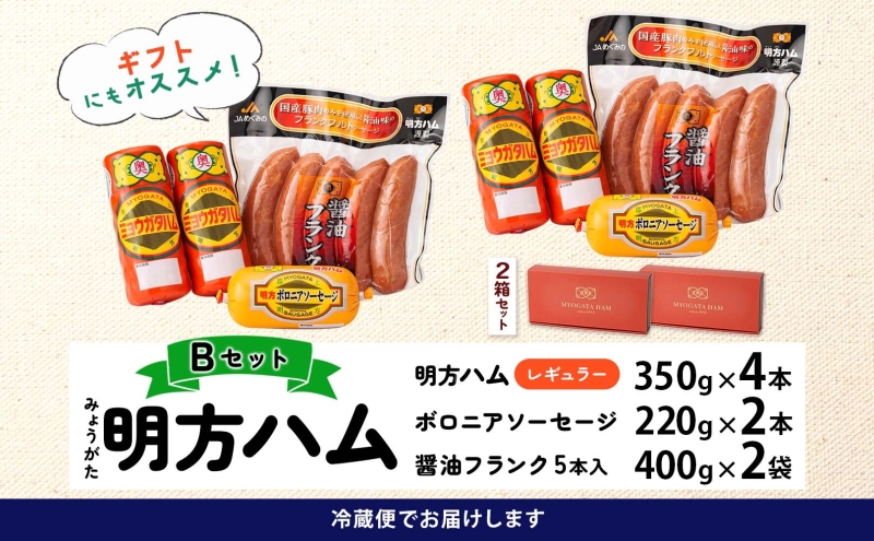 明方 ハム Bセット ボロニア ソーセージ フランクフルト JA ブランド 豚肉 お肉 国産 熟成 塩分 控えめ 豚腸 バーベキュー BBQ 加工品 お取り寄せ 贈答 ギフト 送料無料 めぐみの農業協同組合 岐阜県 美濃市