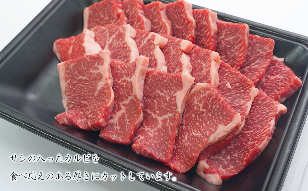 淡路牛カルビ焼肉 500g（250ｇ×2ＰＣ）　[冷凍 牛肉 焼肉セット]