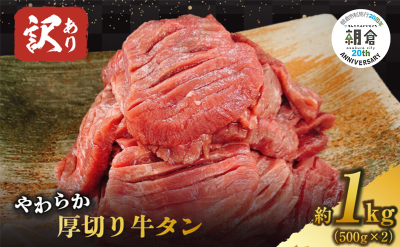 【朝倉市制施行20周年記念企画】 訳あり 