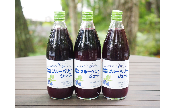 長野県軽井沢町のふるさと納税 沢屋ブルーベリージュース600ml×3本セット 果汁飲料