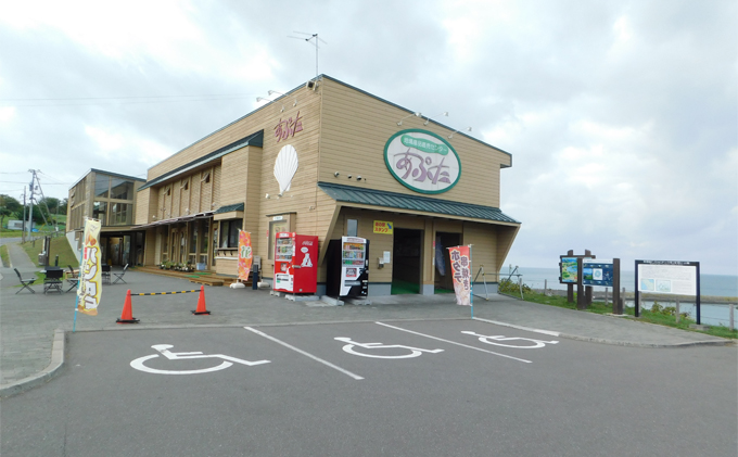 北海道 噴火湾産 ほたてっ子カレー200g×10個 レトルト 中辛 加工食品 惣菜 有名 プランクトン 栄養 美味しさ 濃厚 貝 スパイス 香る やさしい 人気メニュー 電子レンジ 簡単 食べ応え 特製 