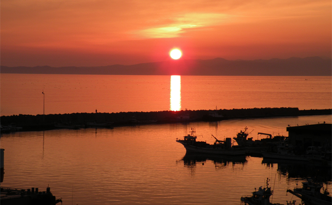北海道 噴火湾産 ほたてっ子カレー200g×5個 レトルト 中辛 加工食品 惣菜 有名 プランクトン 栄養 美味しさ 濃厚 貝 スパイス 香る やさしい 人気メニュー 電子レンジ 簡単 食べ応え 特製 