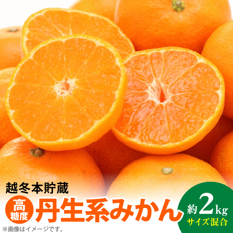 【和歌山県有田郡湯浅町】AB7067n_【高糖系みかん】越冬本貯蔵 丹生系みかん 約2kg