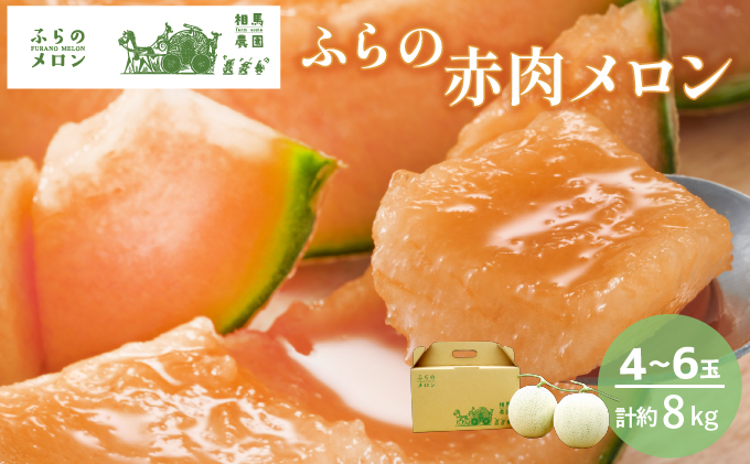 2025年6月下旬より発送】北海道 富良野 赤肉 メロン『厳選』大玉