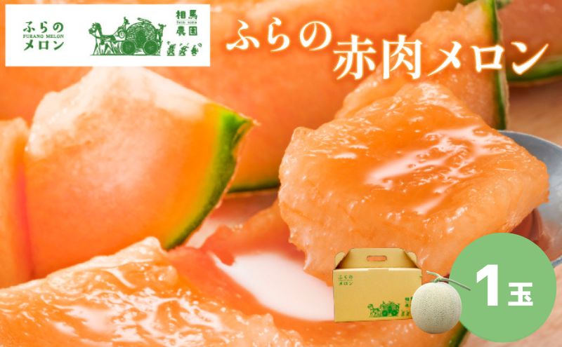 ykCxǖszy2026N6{`zӂ ԓ  1ʓ 2kgO kC xǖs (n_)  t[c ʕ VN Â 蕨 Mtg Y W[V[  ӂ uh 