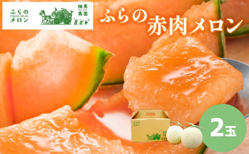 ykCxǖszy2026N6{`zӂ ԓ  2ʓ e2kgO kC xǖs (n_)  t[c ʕ VN Â 蕨 Mtg Y W[V[  ӂ uh 