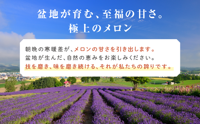 【2026年6月下旬～発送】ふらの 赤肉 メロン 3玉入 各2kg前後 北海道 富良野市 (相馬農園) メロン フルーツ 果物 新鮮 甘い 贈り物 ギフト 道産 ジューシー おやつ ふらの ブランド 夏 