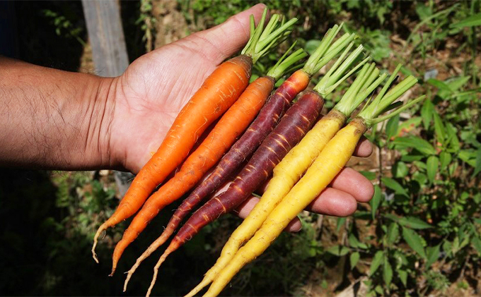 ル・ゴロワ フラノ　ランチ券  (ホテル 食事 チケット 体験 旅行 ランチ トラベル リゾート 北海道 富良野市 ふらの)