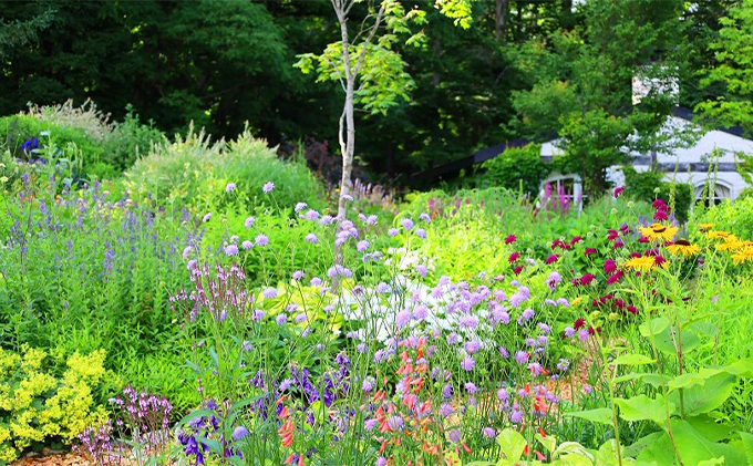 『風のガーデン』 3名様入場券  (チケット 体験 入場 券 旅行 トラベル リゾート 北海道 富良野市 ふらの)