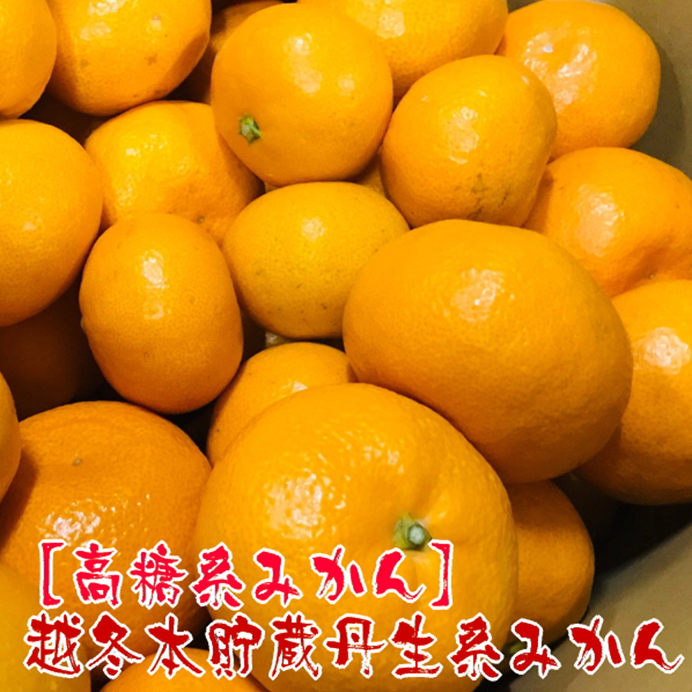 【和歌山県有田郡湯浅町】AB7068n_【高糖系みかん】越冬本貯蔵 丹生系みかん 約5kg