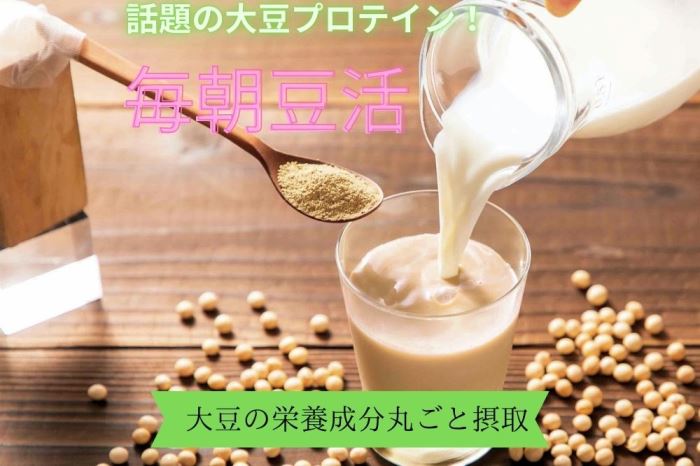 毎朝豆活300g(クリアボトル付)〈豆 ドリンク 大豆パウダー たんぱく質 プロテイン 酵素 国産 大豆 飲料 健康 美容 栄養 パウダー 乳飲料 ボトル サポート 食物繊維 加工食品〉 