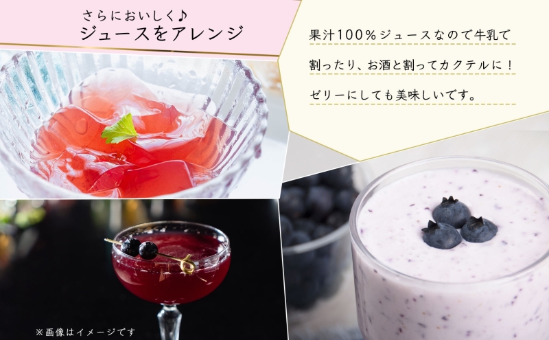 ブドウジュース 有機ブルーベリー ジュース 飲み比べ 各1本 計2本 セット キャンベル ぶどう 紺碧の恋 果汁 100％ お取り寄せ ギフト 北海道 仁木町