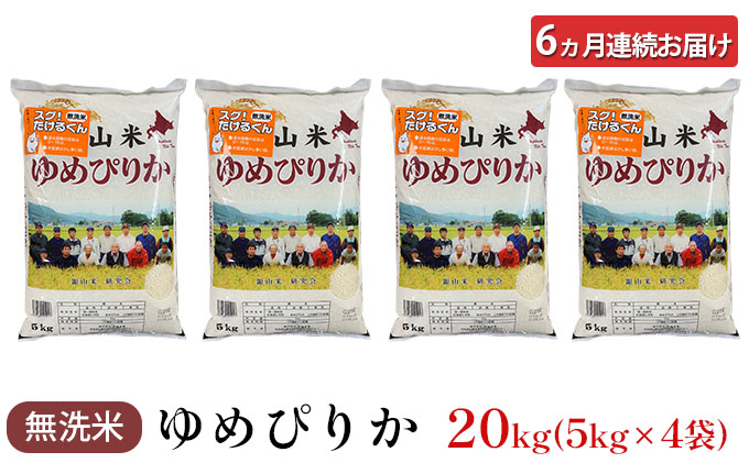 6ヵ月 定期便 銀山米研究会の無洗米＜ゆめぴりか＞20kg（5kg×4袋）【機内食に採用】 ライス 白米 精米 ブランド米 おにぎり お弁当 北海道産 産地直送 ご飯 時短 朝ごはん 夜ごはん 昼ごはん [株式会社 松原米穀]