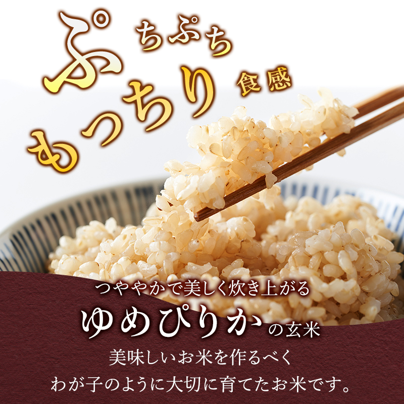 6ヵ月 定期便 銀山米研究会の玄米＜ゆめぴりか＞5kg×1袋【機内食に採用】 ライス ブランド米 おにぎり お弁当 北海道産 産地直送 主食 ご飯 朝ごはん 夜ごはん 昼ごはん [株式会社 松原米穀]