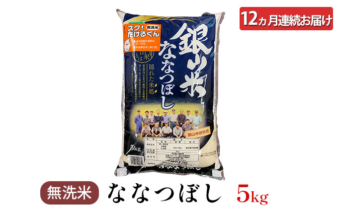 12ヵ月 定期便 銀山米研究会の無洗米＜ななつぼし＞5kg×1袋 ライス 白米 精米 ブランド米 おにぎり お弁当 北海道産 産地直送 ご飯 時短 朝ごはん 夜ごはん 昼ごはん [株式会社 松原米穀]