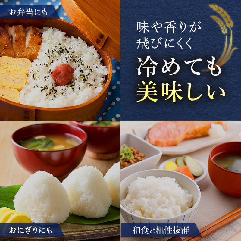 【2025年産米】6ヵ月 定期便 銀山米研究会のお米＜ななつぼし＞5kg×1袋　ご飯 ライス 白米 和食 炭水化物 主食 おにぎり お弁当 銘柄米 ブランド米 産地直送 [株式会社 松原米穀]