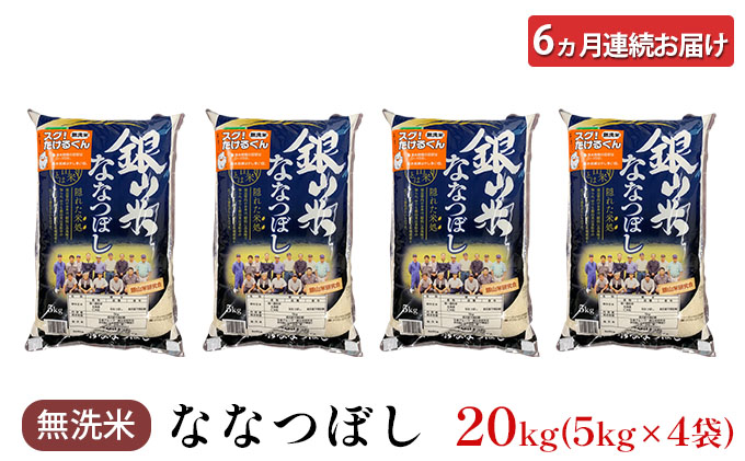 6ヵ月 定期便 銀山米研究会の無洗米＜ななつぼし＞20kg（5kg×4袋） ライス 白米 精米 ブランド米 おにぎり お弁当 北海道産 産地直送 ご飯 時短 朝ごはん 夜ごはん 昼ごはん [株式会社 松原米穀]