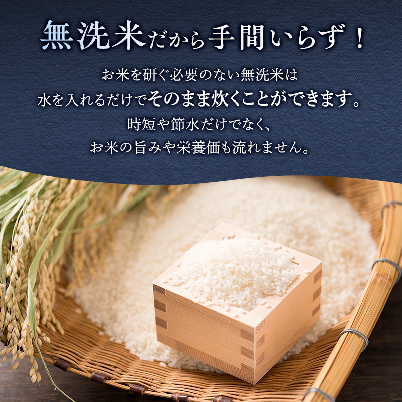 6ヵ月 定期便 銀山米研究会の無洗米＜ななつぼし＞5kg×1袋 ライス 白米 精米 ブランド米 おにぎり お弁当 北海道産 産地直送 ご飯 時短 朝ごはん 夜ごはん 昼ごはん [株式会社 松原米穀]