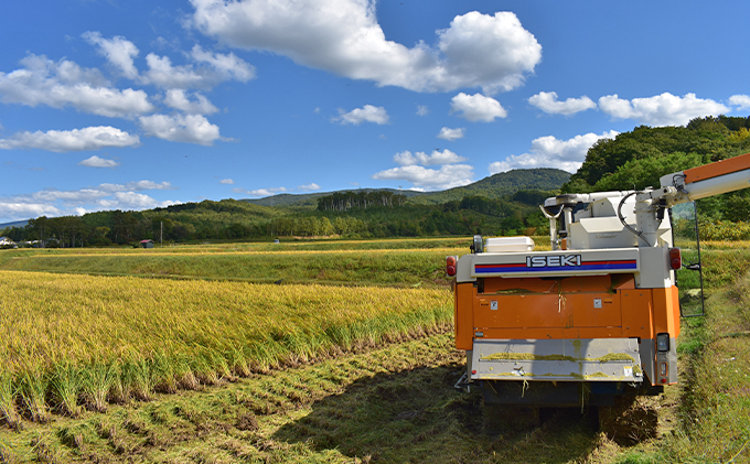 3ヵ月 定期便 銀山米研究会の無洗米＜ななつぼし＞20kg（5kg×4袋） ライス 白米 精米 ブランド米 おにぎり お弁当 北海道産 産地直送 ご飯 時短 朝ごはん 夜ごはん 昼ごはん [株式会社 松原米穀]