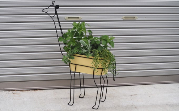 ハーブ 寄植え 7種 キリン型 アイアン鉢 配送不可 北海道 沖縄 離島 植物 寄せ植え 料理 育てる 収穫 初心者 ローズマリー パセリ セージ ミント オレガノ バジル コリアンダー タイム ディル ラベンダー 