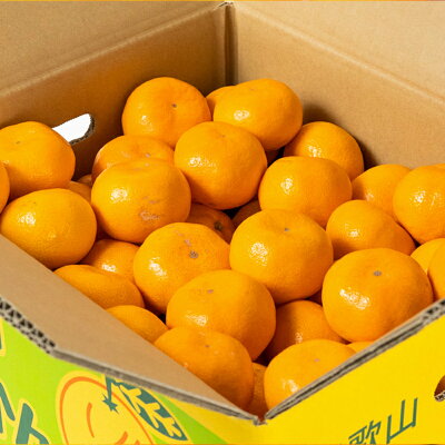 BG6112n_【完熟濃厚】完熟 有田みかん 10kg 【訳あり 家庭用】