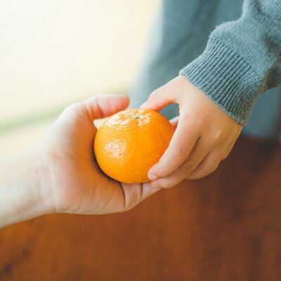 BG6112n_【完熟濃厚】完熟 有田みかん 10kg 【訳あり 家庭用】