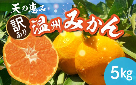 H6012n_天の恵み 温州みかん 訳あり 5kg【ミカン 蜜柑 柑橘 温州みかん 和歌山】