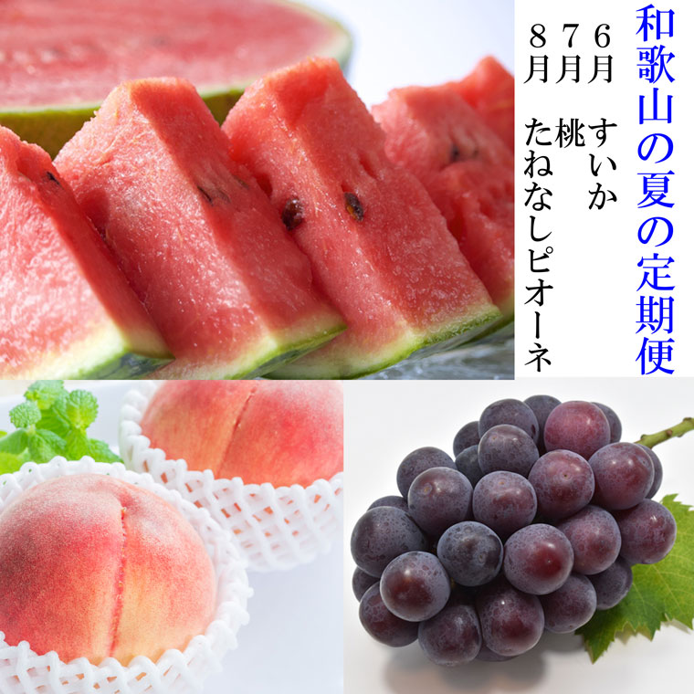 【和歌山県美浜町】〈定期便〉【6・7・8月 全3回】和歌山の夏の人気フルーツ(小玉スイカ・桃・たねなしピオーネ)※北海道・沖縄・離島への配送不可