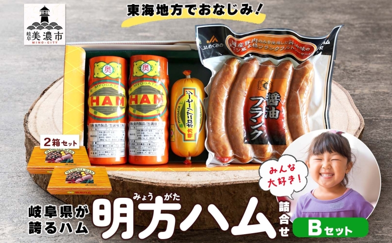 明方 ハム Bセット ボロニア ソーセージ フランクフルト JA ブランド 高級 豚肉 お肉 国産 熟成 塩分 控えめ 天然 豚腸 バーベキュー BBQ 加工品 お取り寄せ 贈答 ギフト 送料無料 めぐみの農業協同組合 岐阜県 美濃市