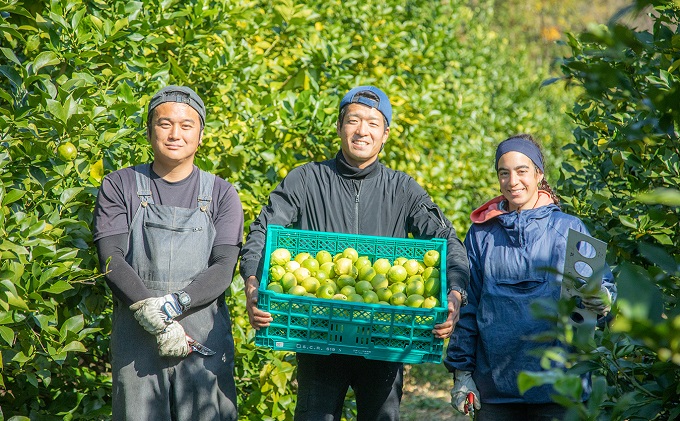 瀬戸内 牛窓産 レモン 約4kg（1果 100g前後） 果物 柑橘 果実 国産 爽やか ワックス 防腐剤 不使用 料理 ジュース 酎ハイ 焼酎 飲み物 果汁 ドレッシング ソース 