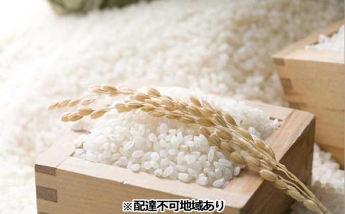 岡山県赤磐市のふるさと納税 令和7年度産 きぬむすめ 精米 5kg 岡山県 赤磐市産 お米