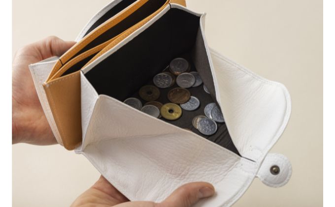 財布 RIPS 野生鹿革 レディース財布  小銭入れ 革 本革 革製品 皮革製品 鹿革 お札入れ コインケース ウォレット カード ファッション レディース 小物 