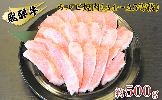 y򕌌zˋJrēiA4`A5j500gi250g×2pbNj   o[xL[