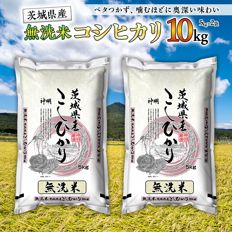 【 新米 】 令和7年産 無洗米 茨城 こ